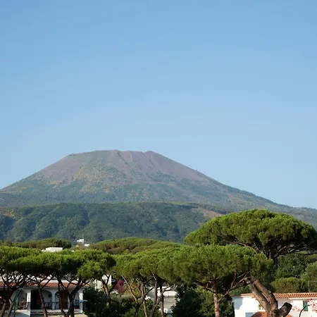 Marad